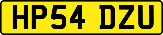 HP54DZU