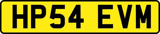 HP54EVM