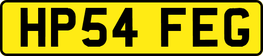 HP54FEG