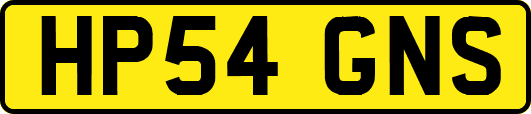 HP54GNS