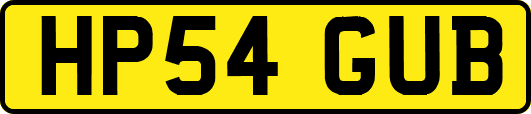 HP54GUB