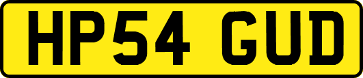 HP54GUD