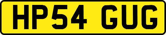HP54GUG
