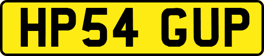 HP54GUP