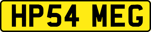 HP54MEG