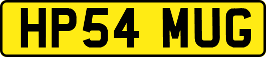 HP54MUG