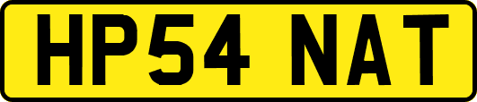 HP54NAT