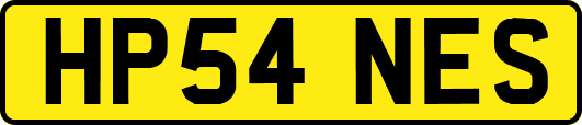 HP54NES