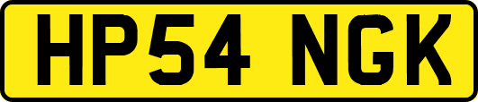 HP54NGK