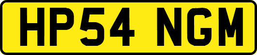 HP54NGM