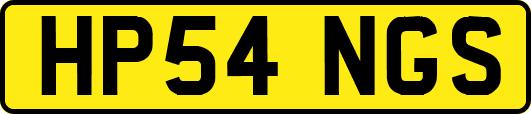 HP54NGS