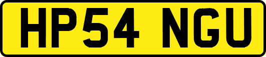 HP54NGU