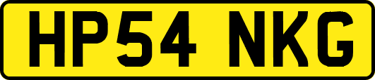 HP54NKG