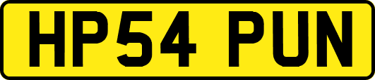HP54PUN