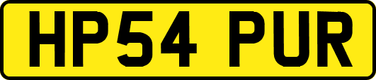 HP54PUR