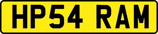 HP54RAM