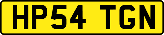 HP54TGN