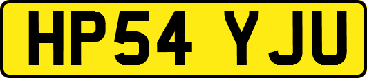 HP54YJU