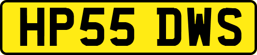 HP55DWS
