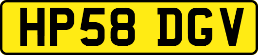 HP58DGV