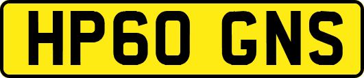 HP60GNS