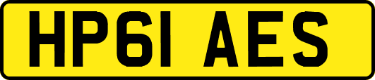 HP61AES