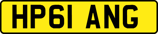 HP61ANG