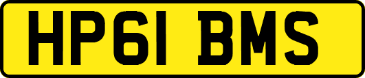 HP61BMS