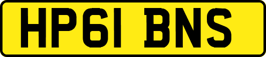 HP61BNS