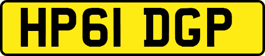 HP61DGP