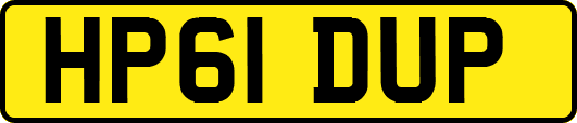 HP61DUP