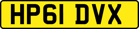 HP61DVX