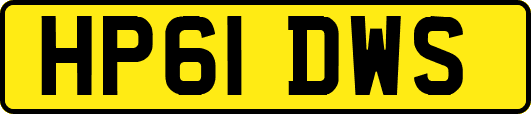 HP61DWS