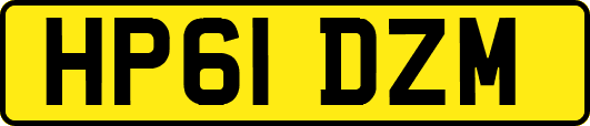 HP61DZM