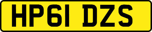 HP61DZS