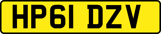 HP61DZV