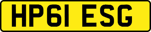 HP61ESG