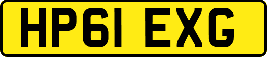 HP61EXG