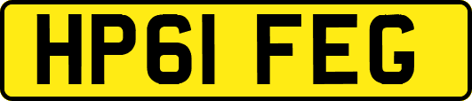 HP61FEG