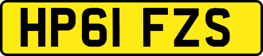 HP61FZS