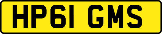HP61GMS