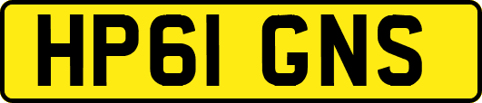 HP61GNS