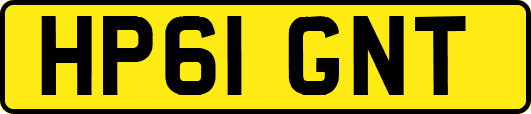 HP61GNT