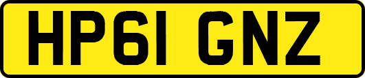HP61GNZ