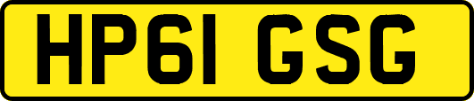 HP61GSG