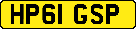 HP61GSP