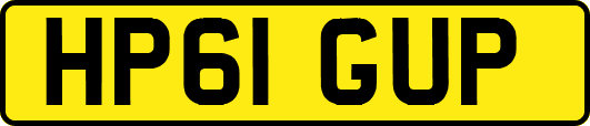 HP61GUP