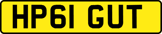 HP61GUT