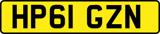 HP61GZN