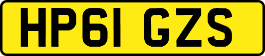 HP61GZS